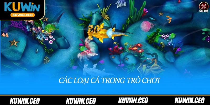 Các loại cá trong trò chơi