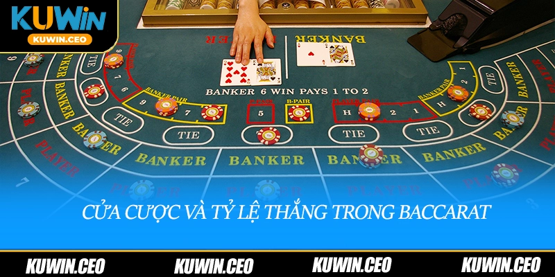 Cửa cược và tỷ lệ thắng trong baccarat