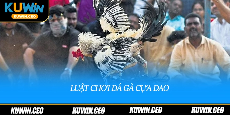 Luật chơi đá gà cựa dao
